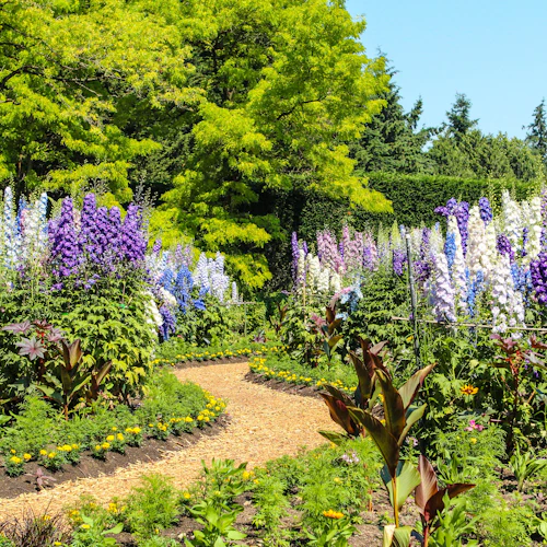 VanDusen Botanical Garden Admission Ticket