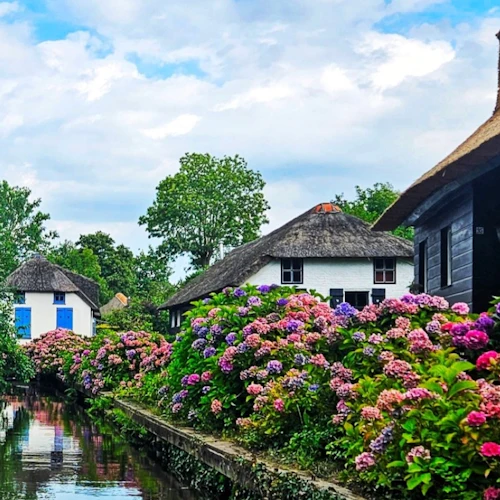 Zaanse Schans & Giethoorn: Guided Tour + Electric Boat Trip - Photo 10