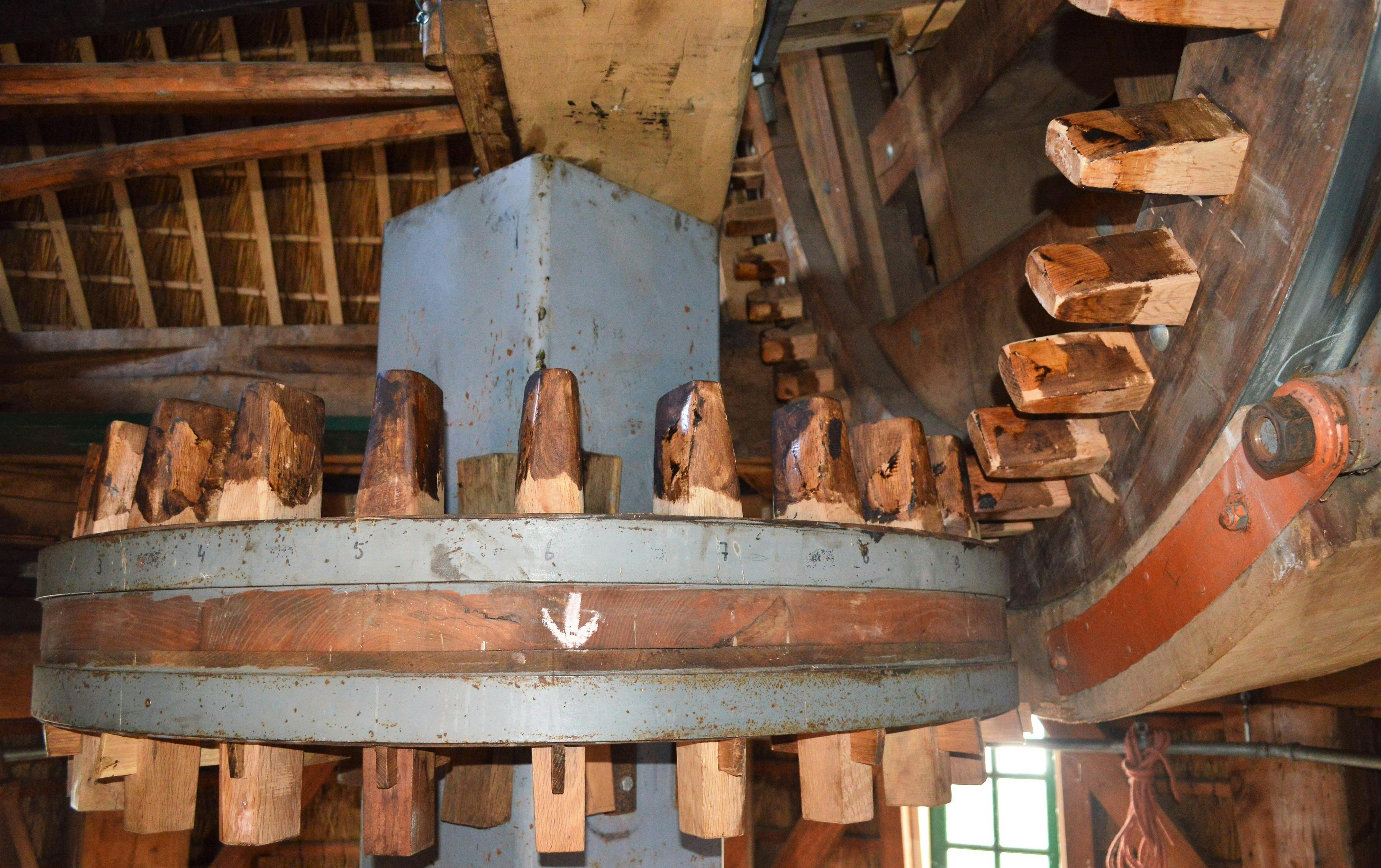 The overhead beaner in the hood