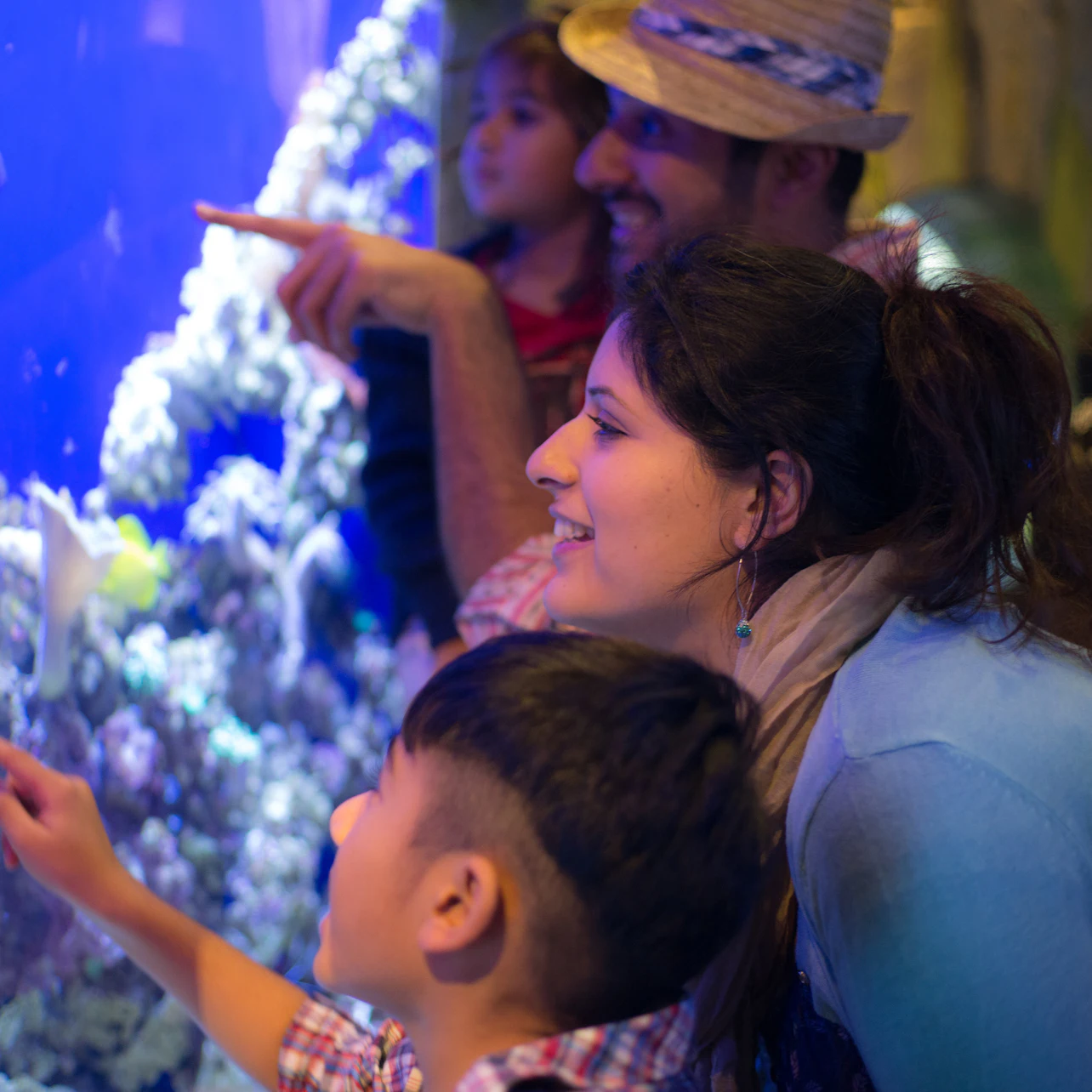 Dubai Aquarium & Burj Khalifa: Level 124/125 Ticket in Dubai – Tiqets