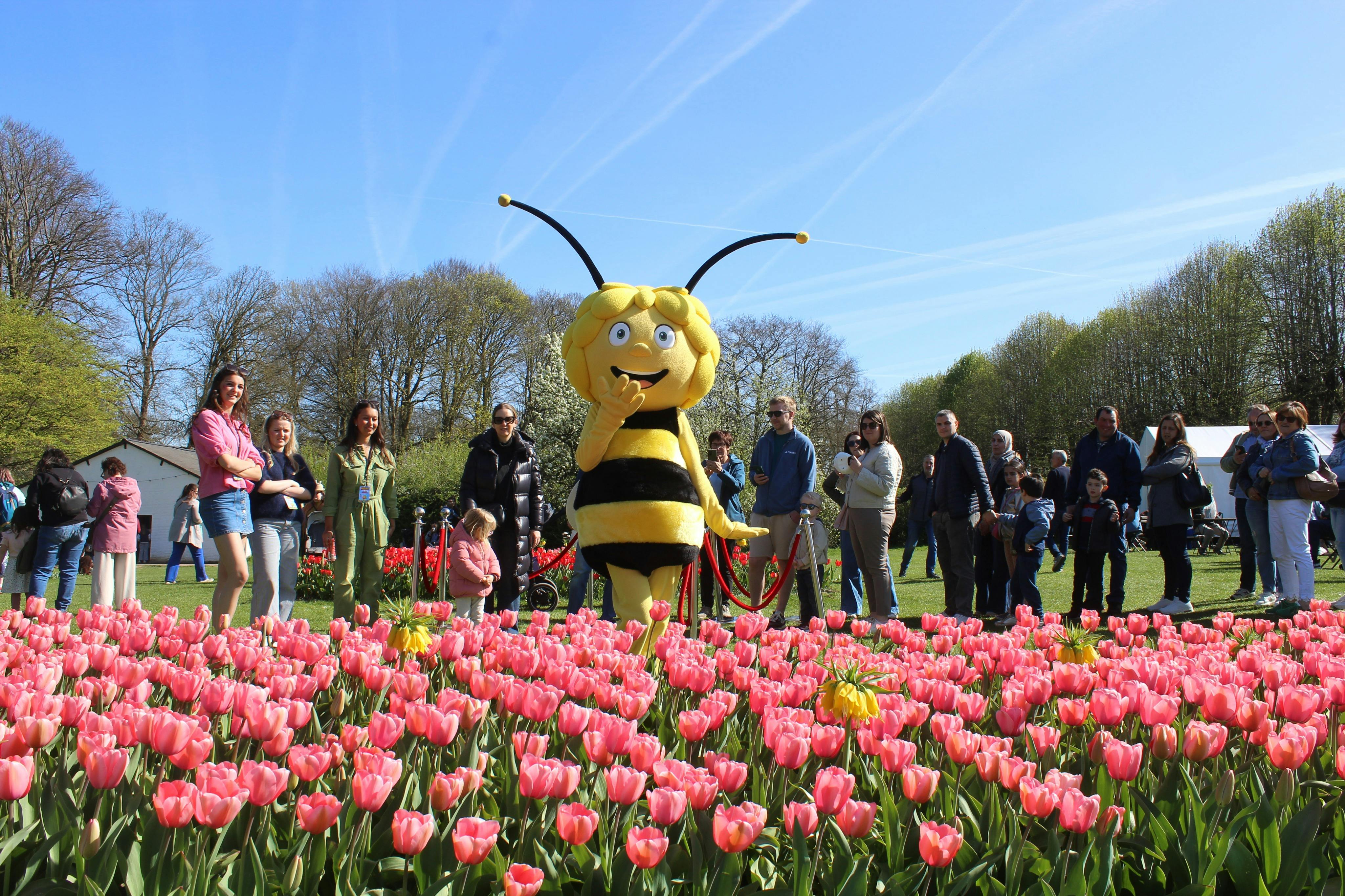 Uma personagem vestida de abelha está perto de tulipas cor-de-rosa em flor num parque, rodeada de pessoas sob um céu limpo e soalheiro.