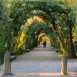 Två personer som går under ett trädtak längs en solbelyst grusväg, omgiven av frodig grönska.