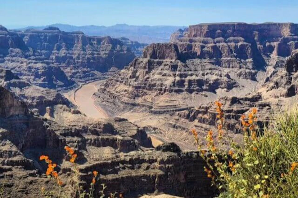 A view of a steep canyon with layered rock formations and a river winding through it, with wildflowers in the foreground.