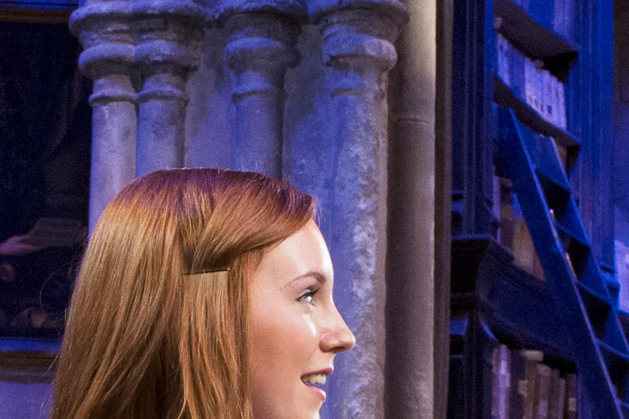 哈利波特 華納兄弟影城 門票（羅素廣場站接送）