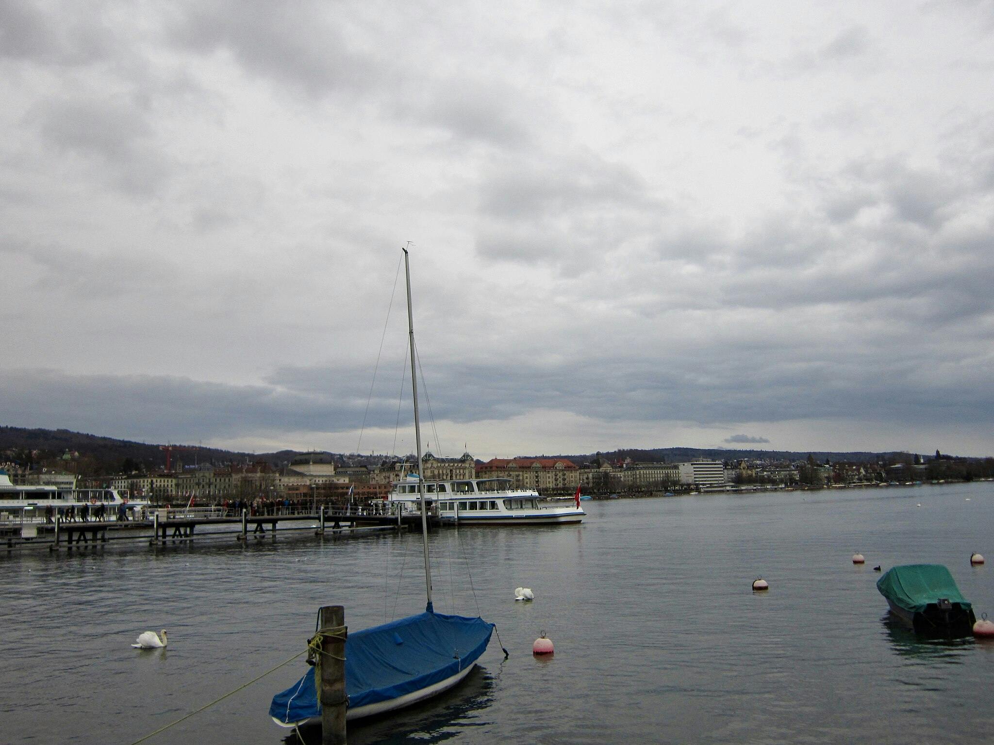 Diverse barche su uno specchio d'acqua calmo con un molo, un cigno ed edifici sullo sfondo sotto un cielo nuvoloso.
