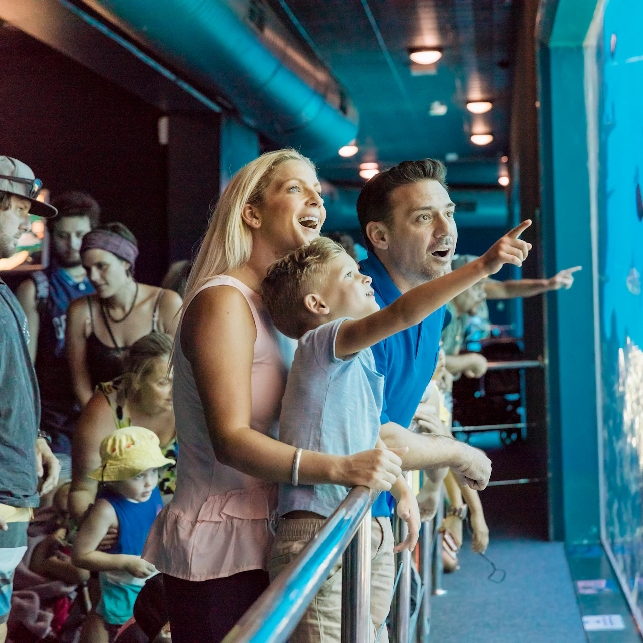 A family excitedly watches marine life through an aquarium window, with other visitors observing in the background.