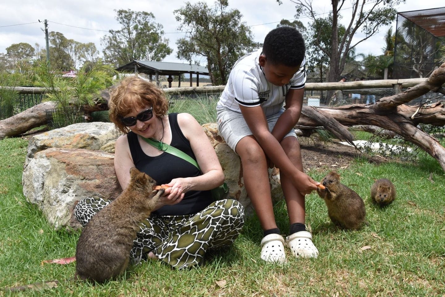 Hunter Valley Wildlife Park: General Admission Ticket