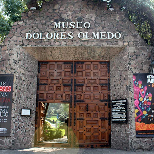 Passeio pelo legado de Frida Kahlo e Diego Rivera + transporte - Photo 12