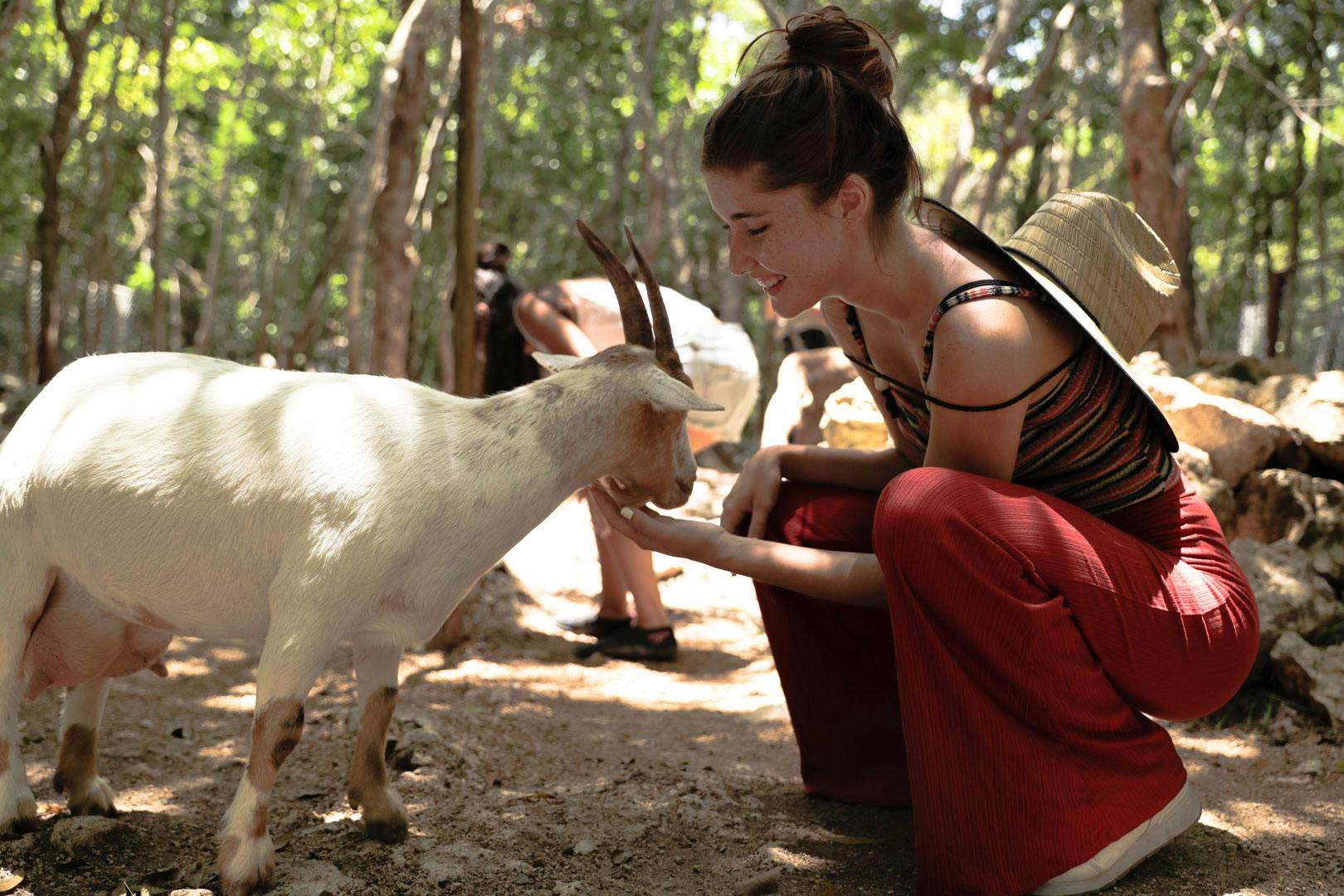 Una mujer con pantalones rojos y sombrero de paja se agacha para dar de comer a una cabra blanca en una zona boscosa. Otras personas aparecen borrosas en el fondo.