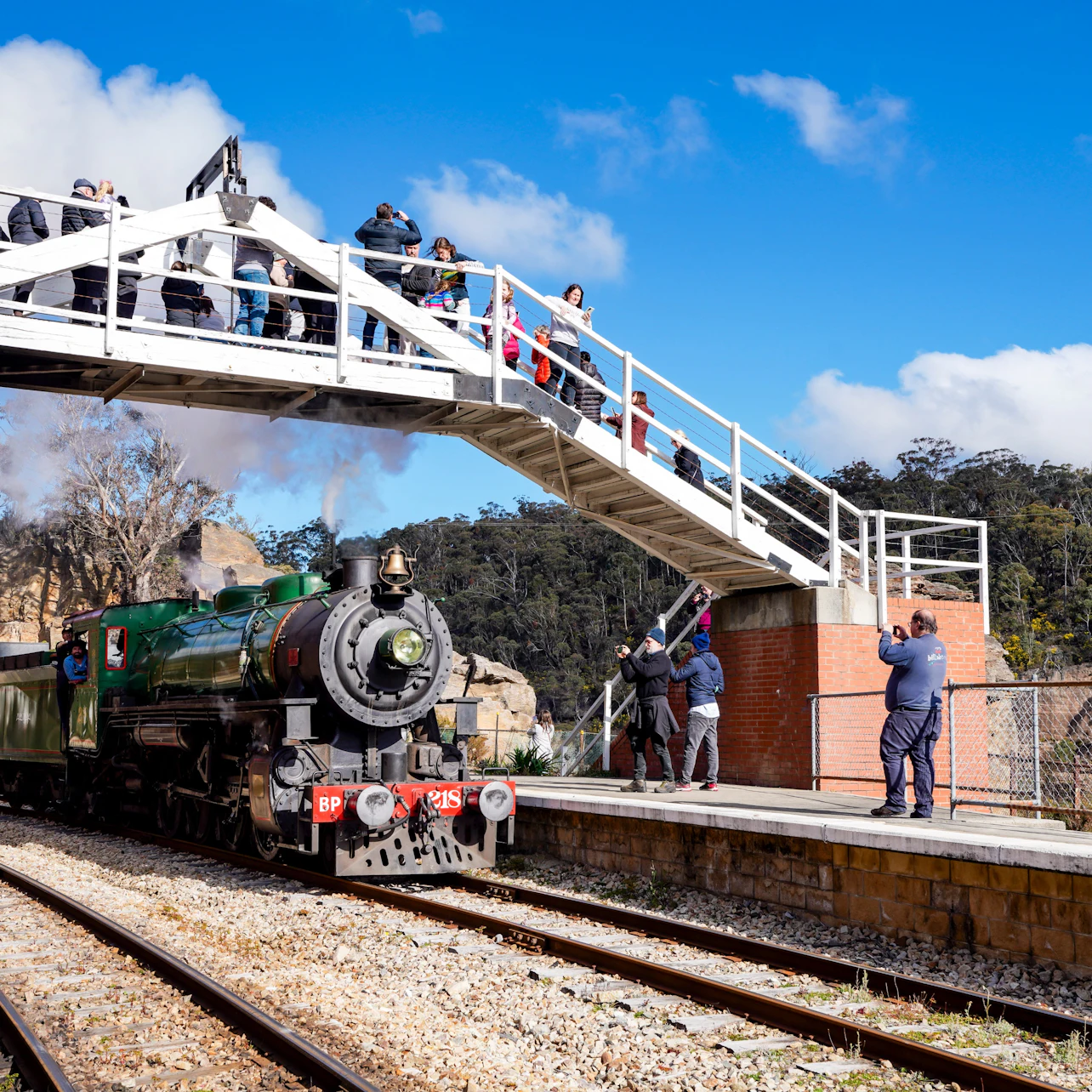 Zig Zag Railway: Clarence to Top Points/Bottom Points Roundtrip Train Ride in Sydney β Tiqets
