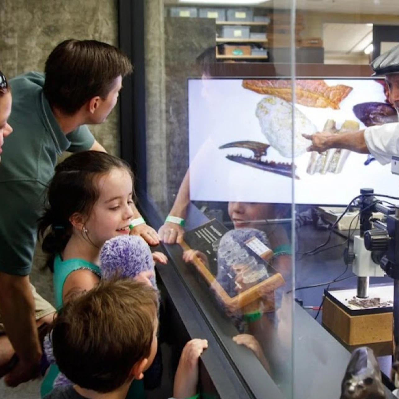 La Brea Tar Pits Museum in Los Angeles β Tiqets