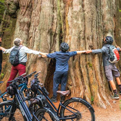 Vancouver: Family Stanley Park Bike Tour