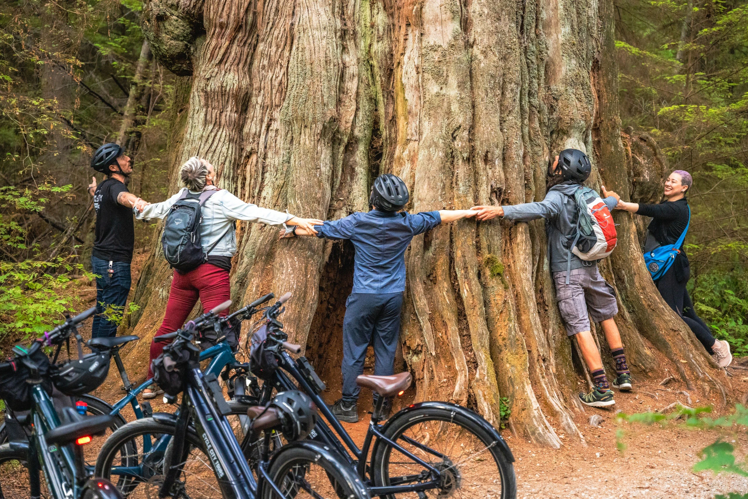 Vancouver: Family Stanley Park Bike Tour