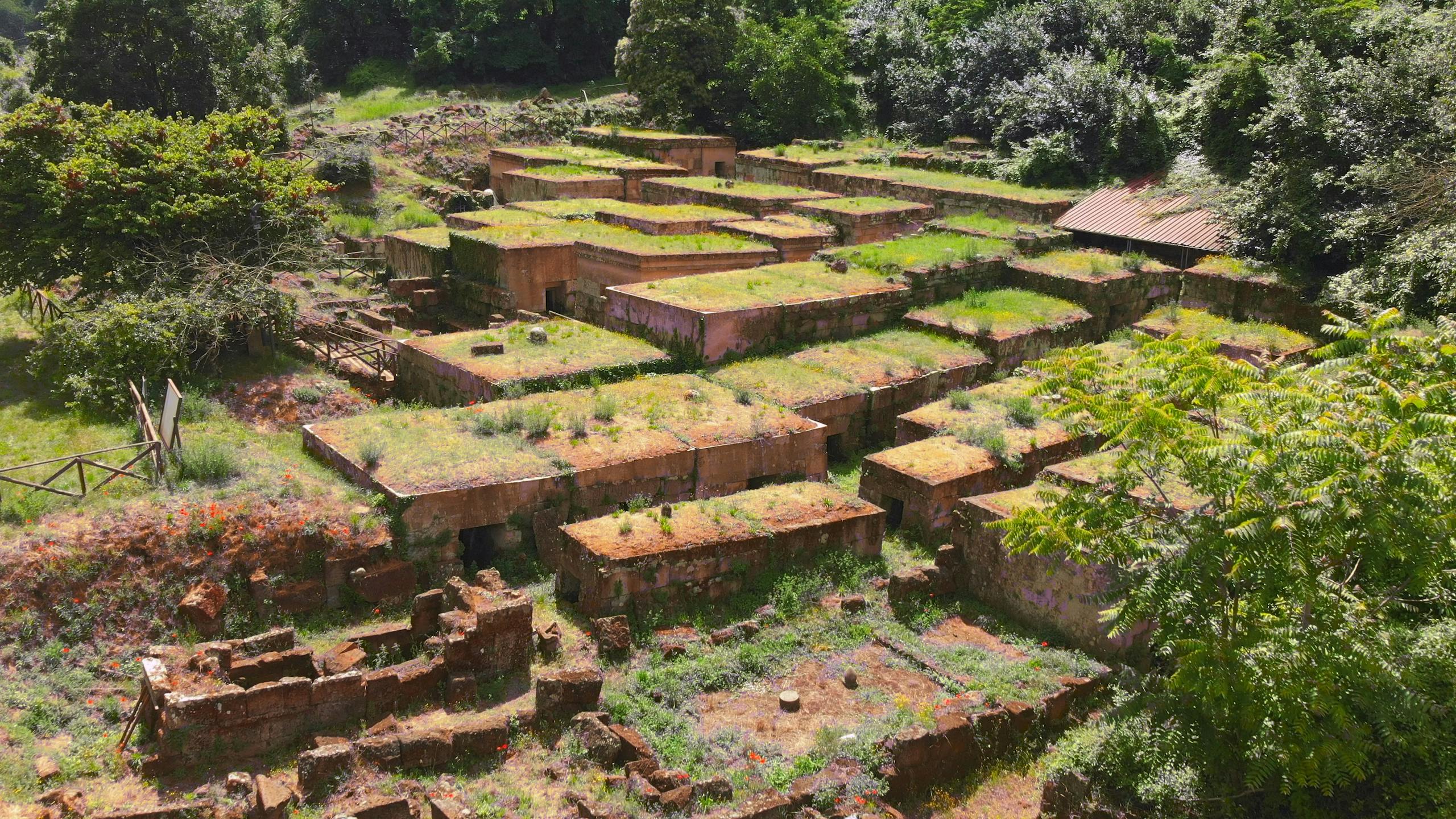 苔で覆われた石造りの建造物と散在する植生が生い茂った生い茂った廃墟。緑豊かな森の風景に囲まれています。