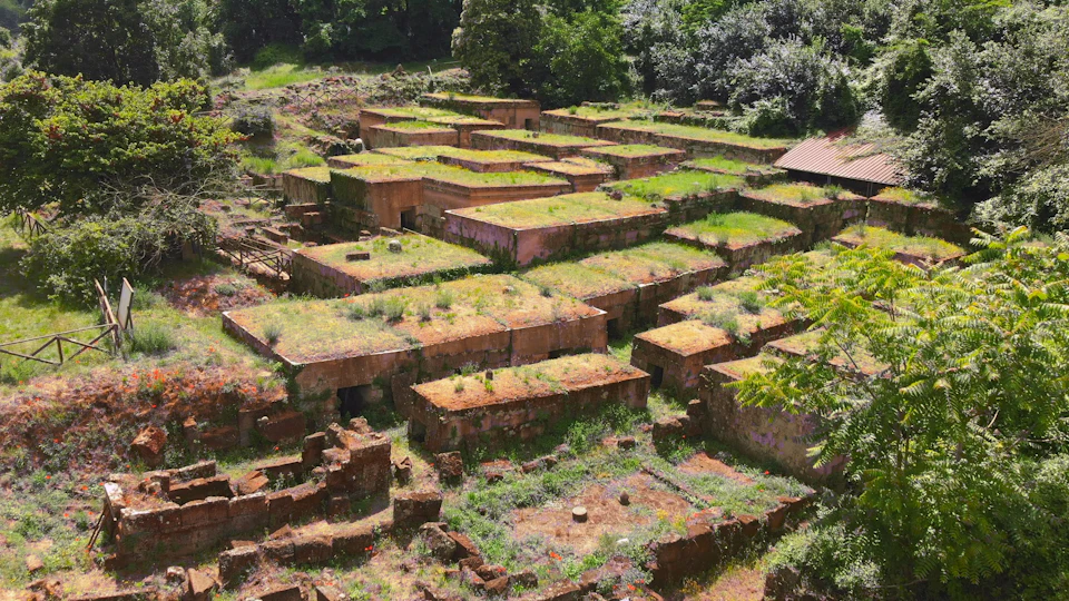 Tiered, overgrown ruins with moss-covered stone structures and scattered vegetation, set in a lush, forested landscape.