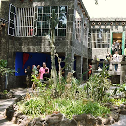 Frida Kahlo and Diego Rivera's Legacy Tour + Transport 3