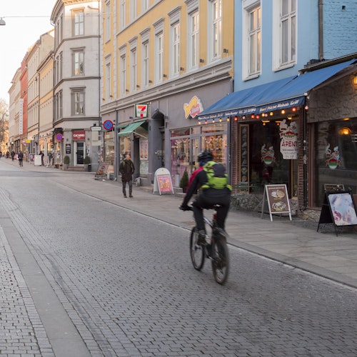 Viking Biking: Alquiler de bicis en Oslo
