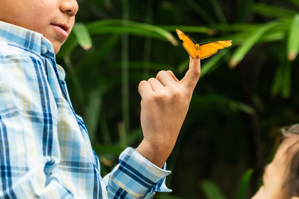 Two children interacting with a butterfly in an outdoor setting with lush greenery.