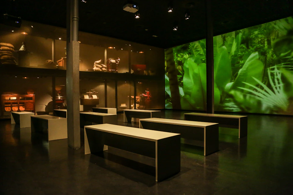 Dimly lit exhibition space with benches facing large screens, displaying images of tropical plants and artifacts on shelves.