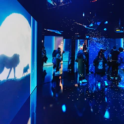 En grupp människor i ett mörkt rum med upplysta väggar som visar animerade bilder och reflekterade ljusmönster.