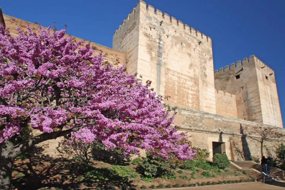 Alhambra walls