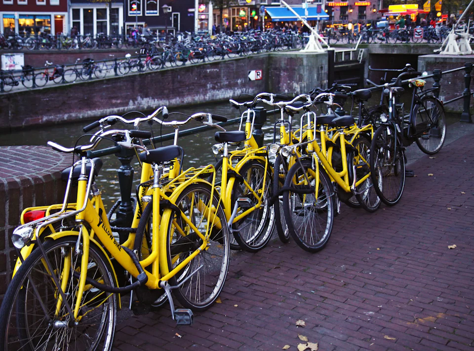 A row of parked yellow bicycles lined up along a canal with more bicycles and storefronts visible in the background.