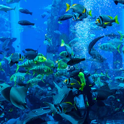 Lost World Aquarium