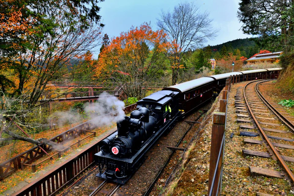 A steam locomotive with passenger cars travels along a railway surrounded by autumn trees and wooden fences.