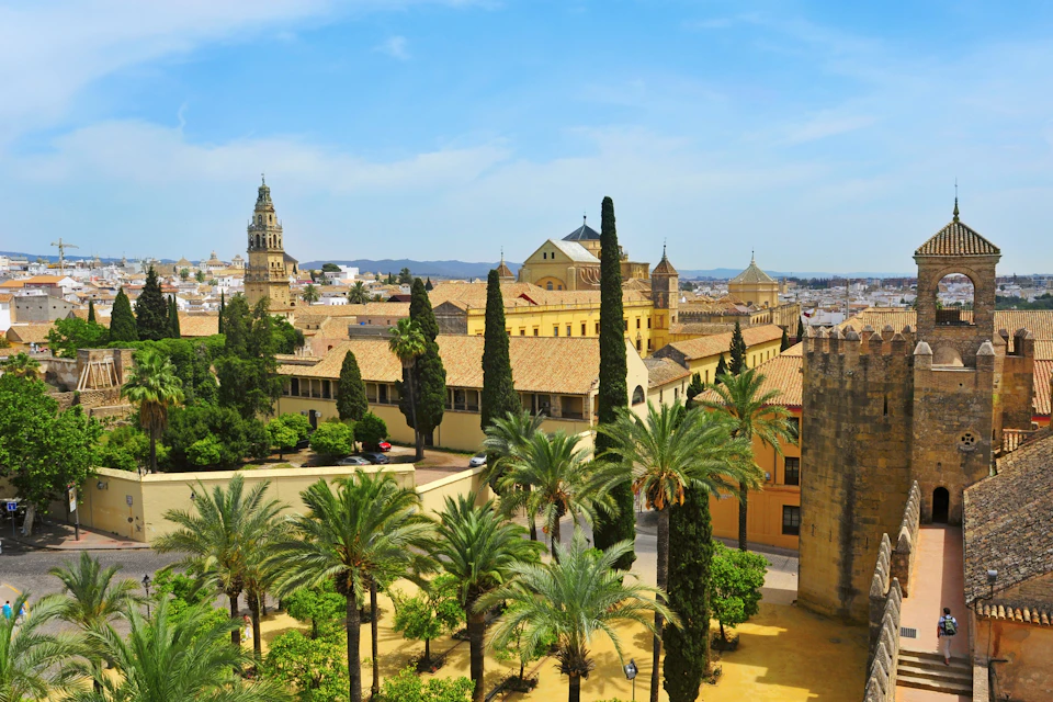 A scenic view of a historic cityscape with palm trees, beige buildings, and a tower under a clear blue sky.