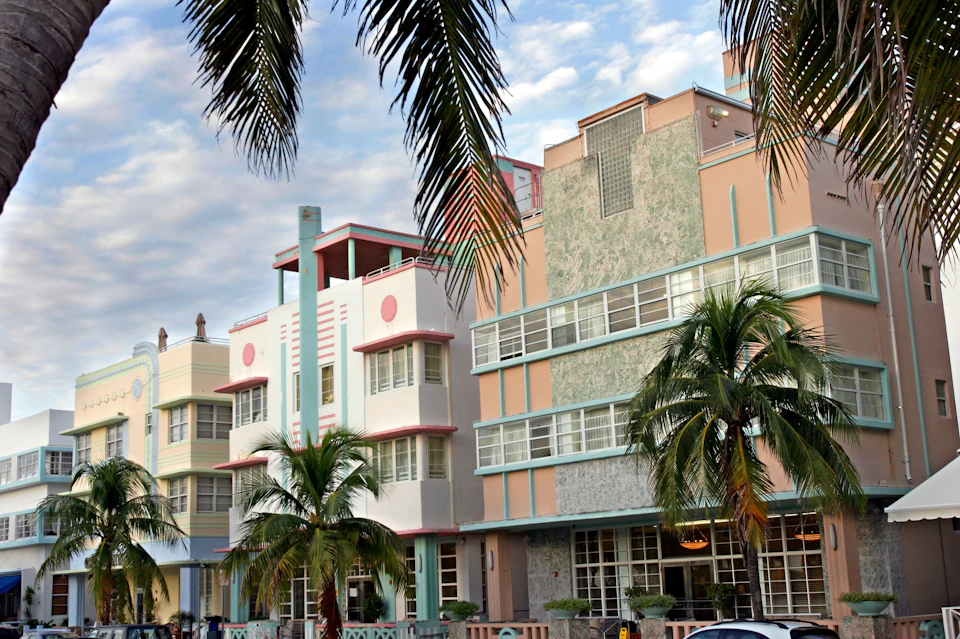 Gray Line Miami