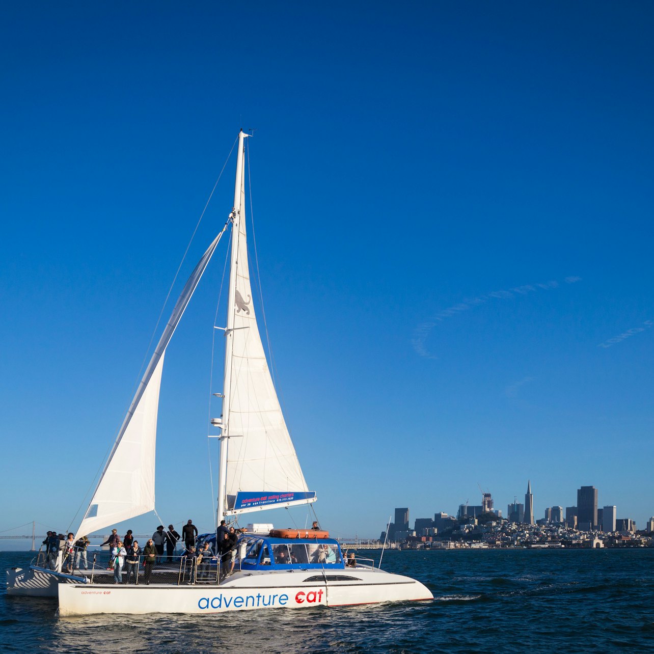 Baia di San Francisco: Crociera in catamarano al tramonto - Alloggi in San Francisco