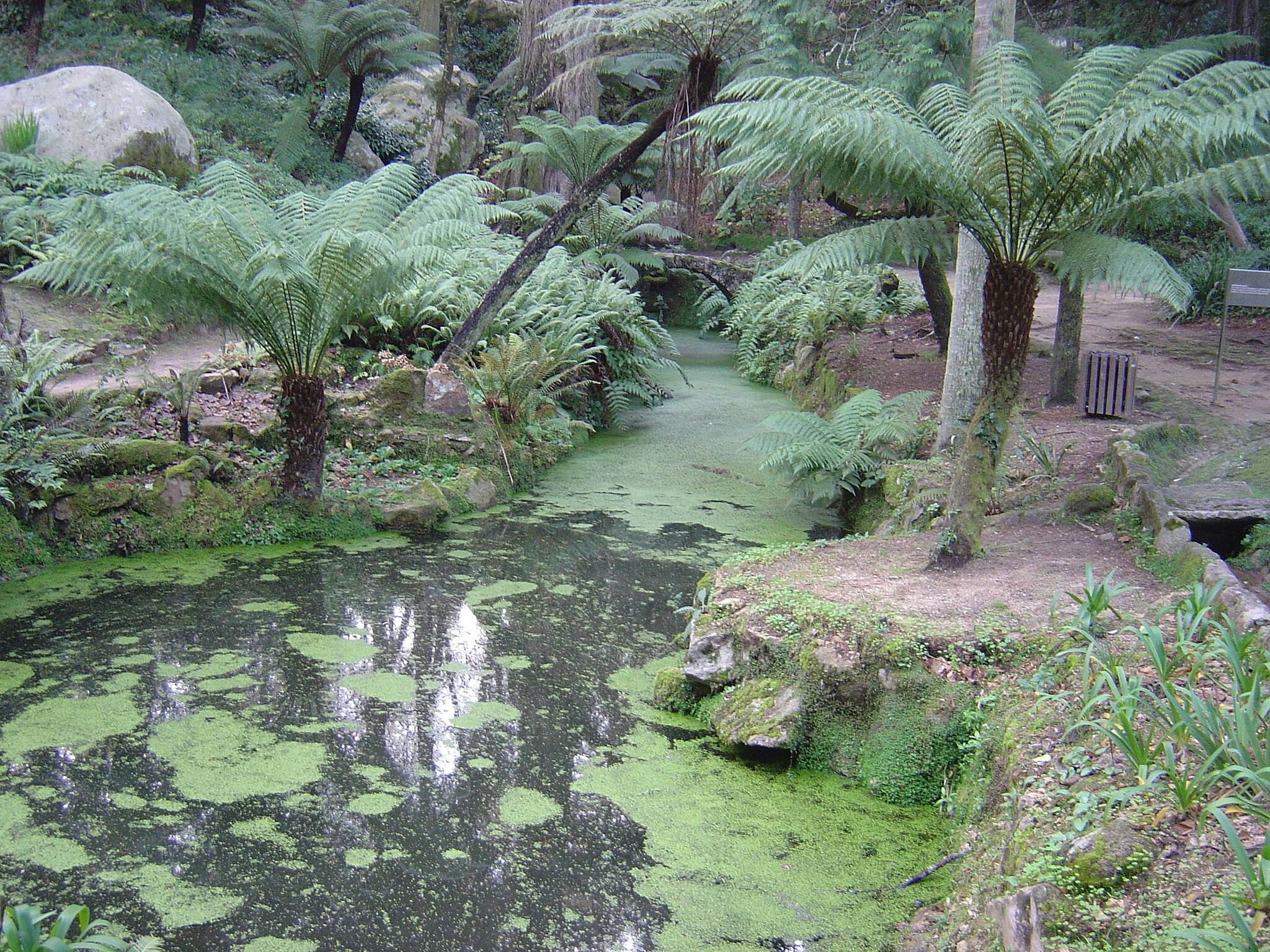 Ogrody Parku Pena w Sintrze