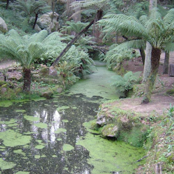 Gardens of Pena Park