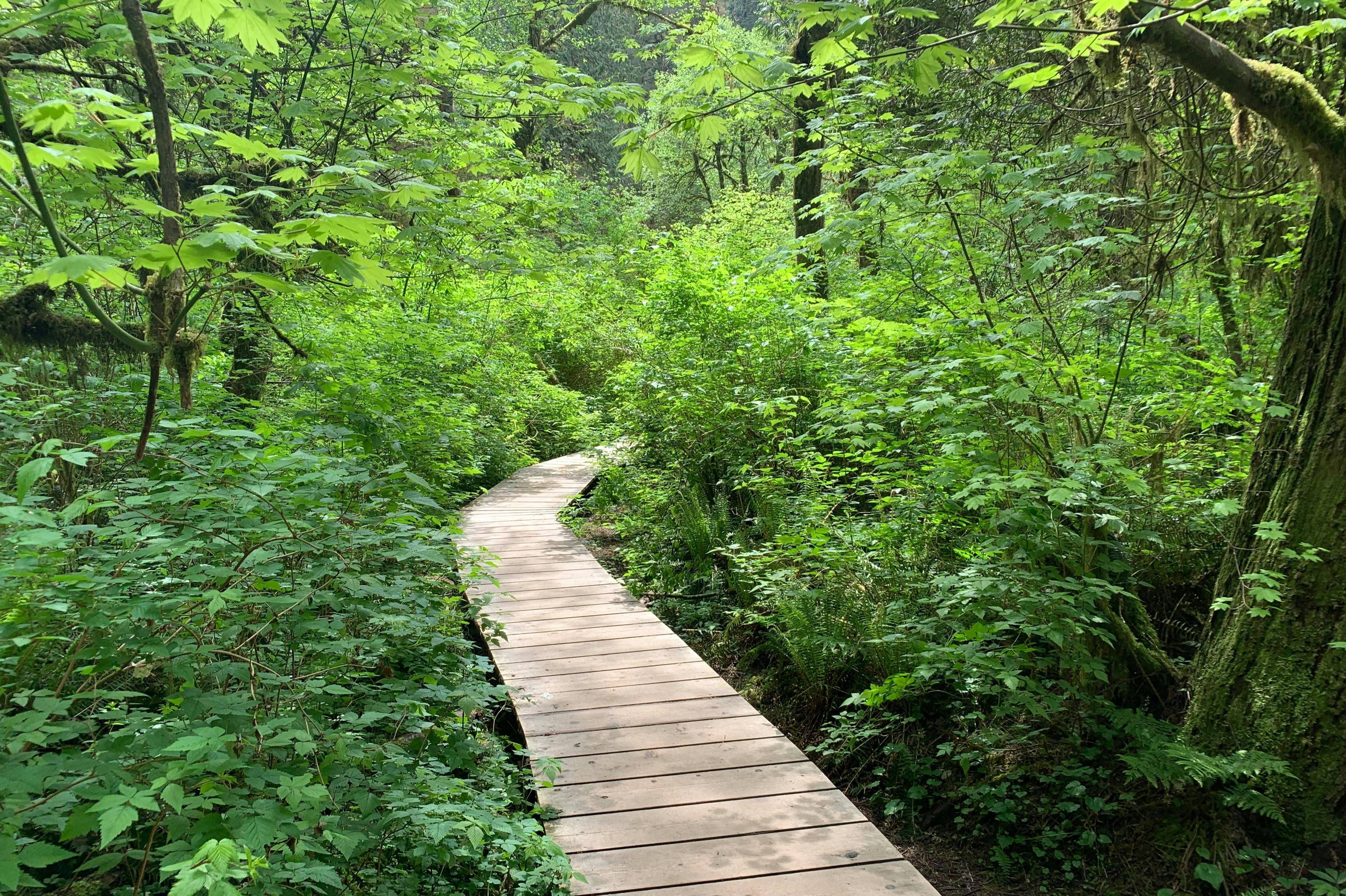 Πεζοπορία μέσα στην εκπληκτική φύση.
