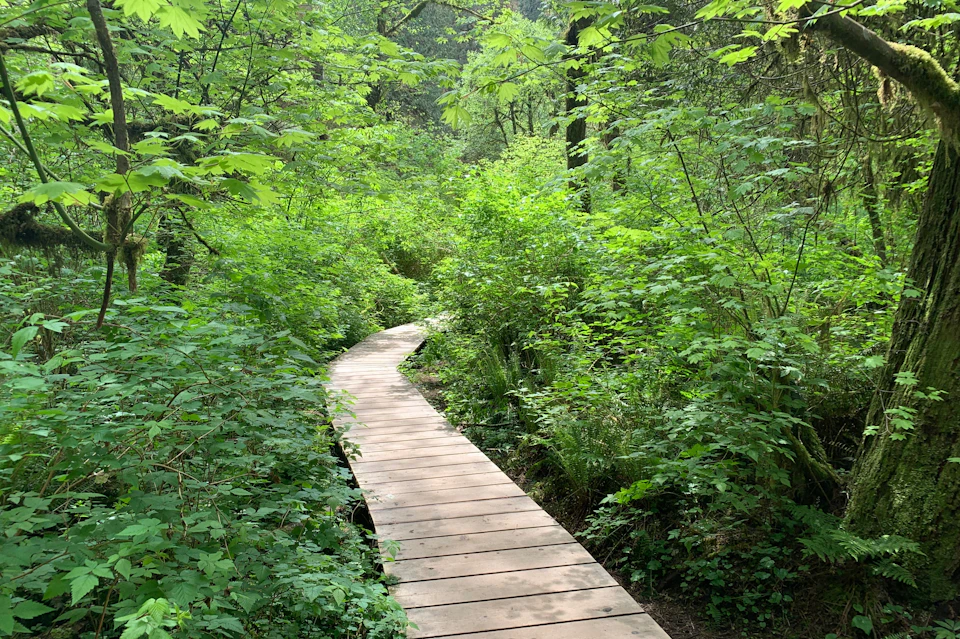 Hiking through the stunning nature.