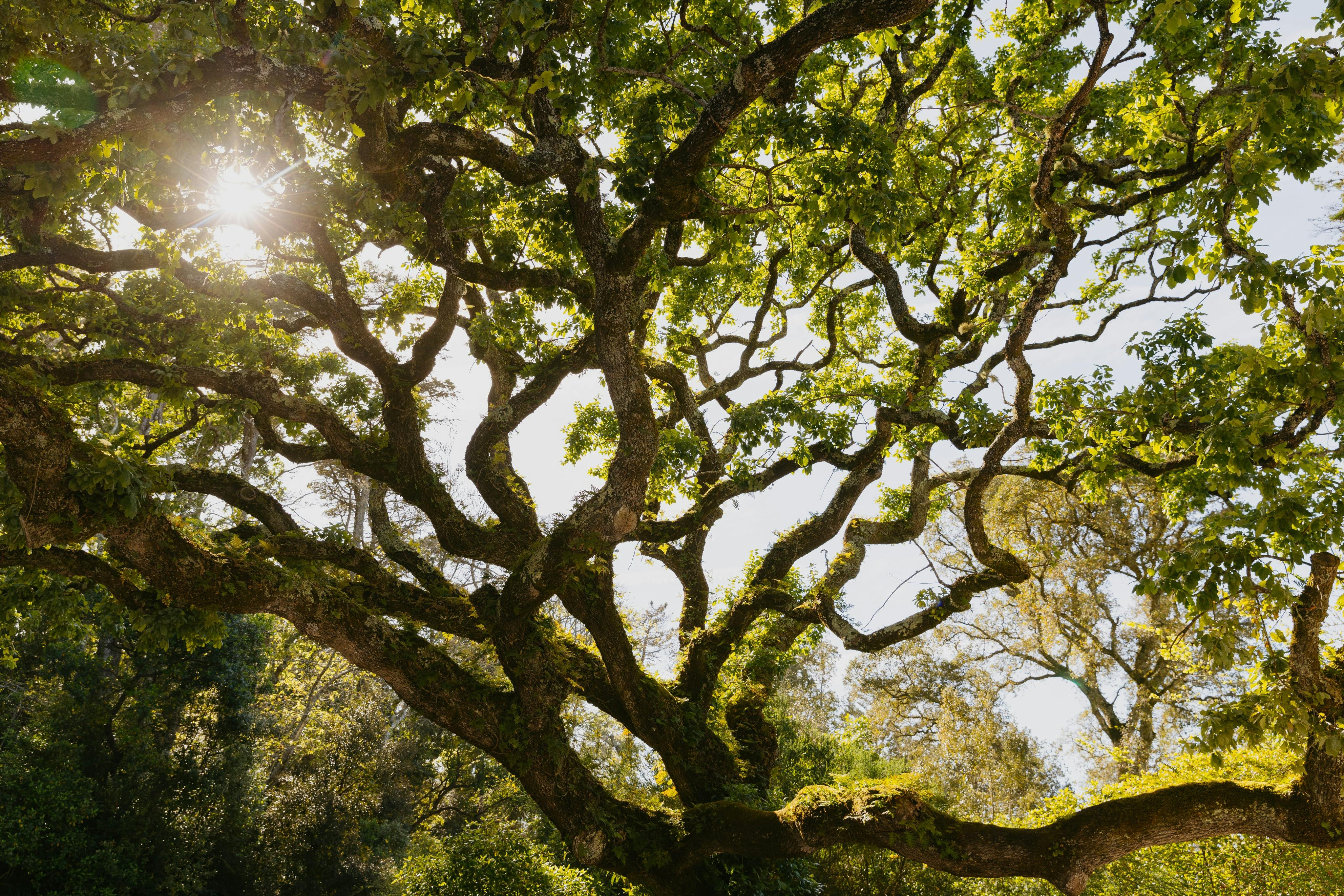 가이드와 함께하는 킨타다레갈레이라 투어