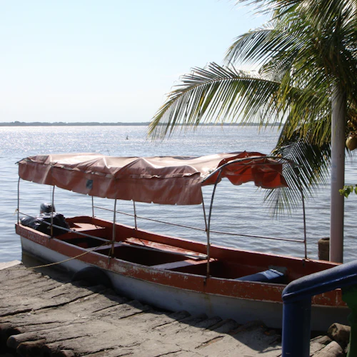 Mandinga Lake: Boat Tour + Transport from Veracruz