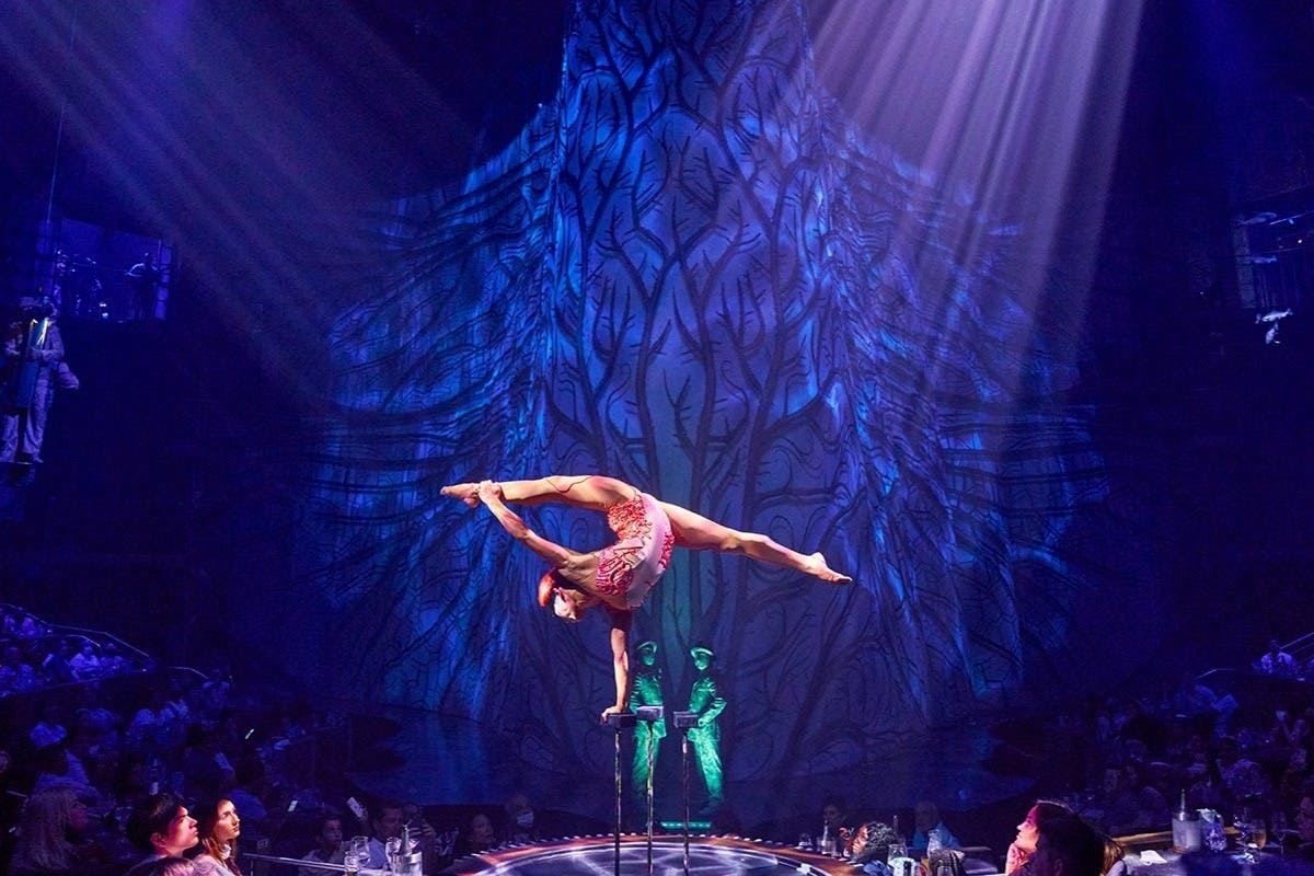 Cirque du Soleil JOYÀ, VIDAFEL