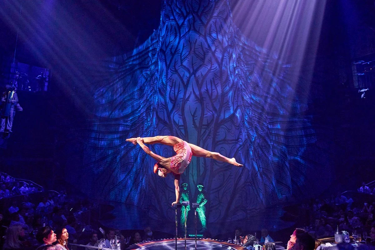 Cirque Du Soleil JOYÀ: Resident Show in Riviera Maya