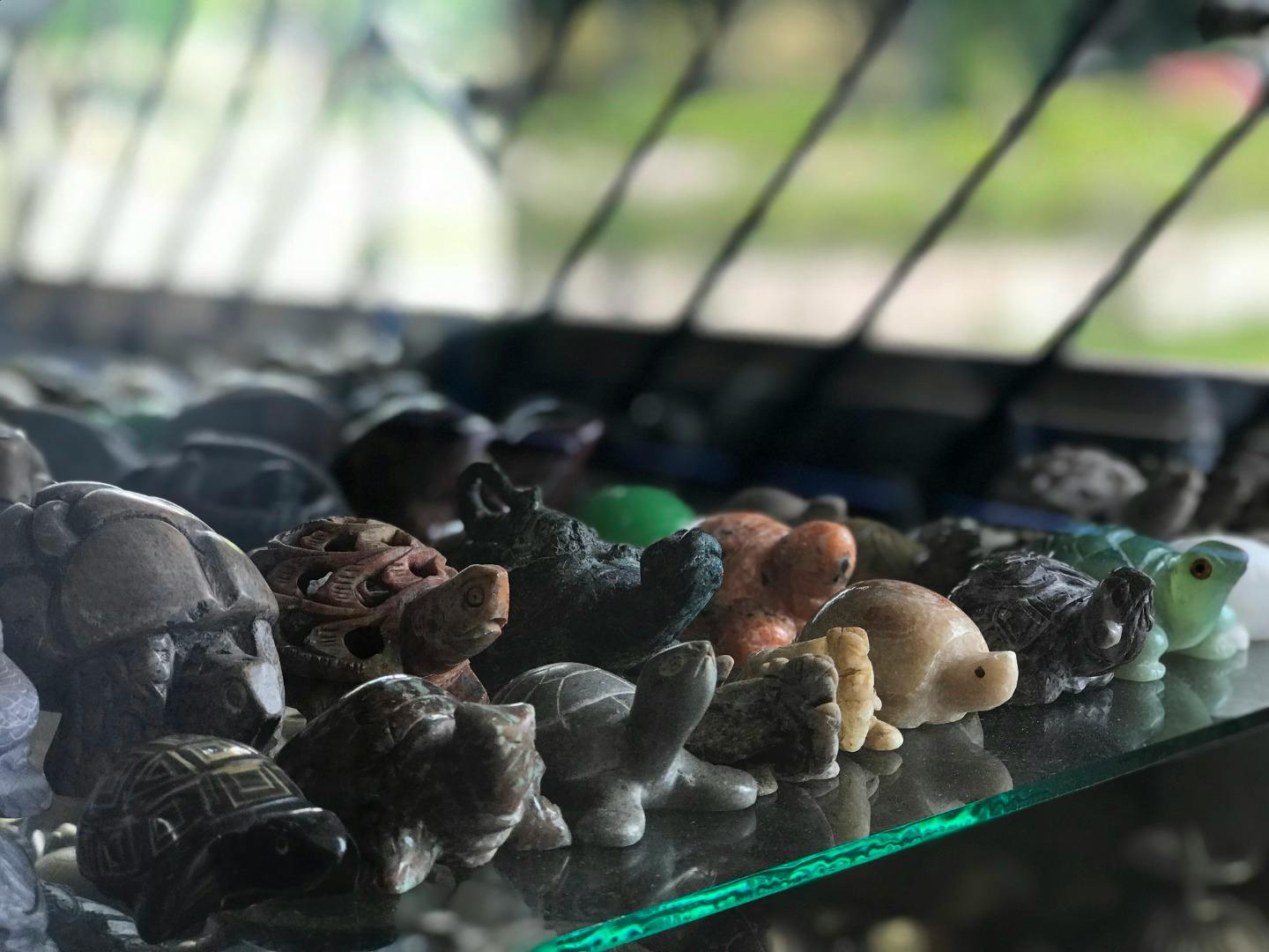 Live Turtle Museum Singapore: Standard Ticket