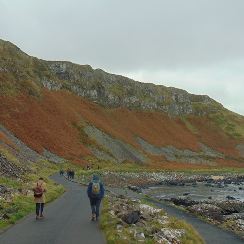 Giant's Causeway, Dunluce Castle, Dark Hedges and Belfast city from Dublin