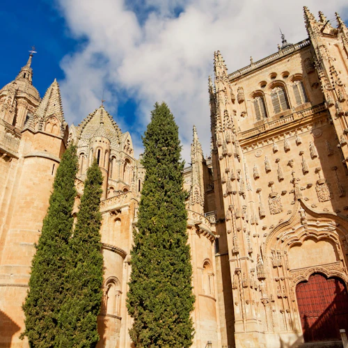 Ávila e Salamanca: Viagem de um dia saindo de Madri - Photo 2