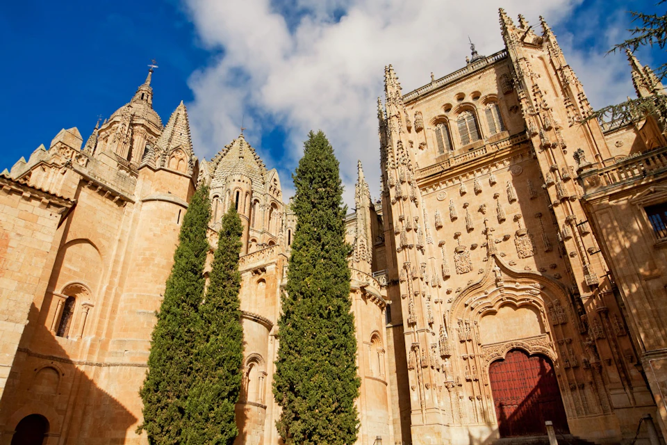 Cathedral of salamanca