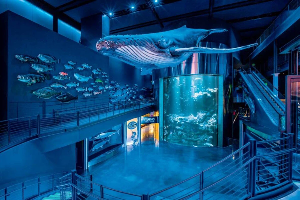 A large indoor aquarium display featuring a suspended whale model, fish exhibits, and a cylindrical water tank.