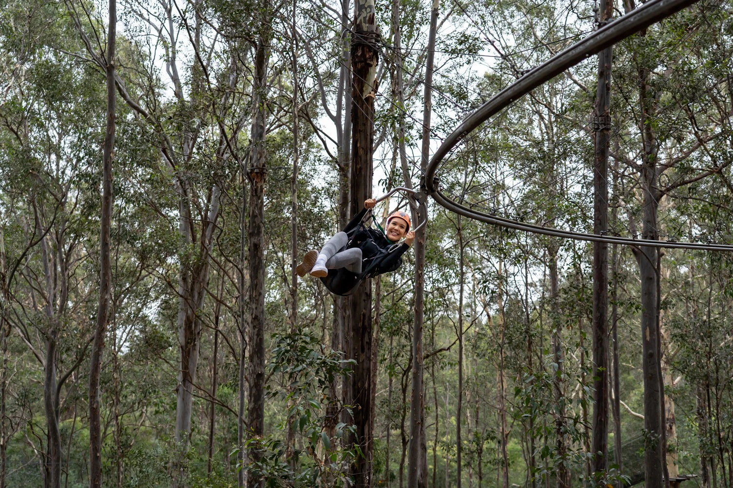 Treetops Adventure Central Coast: Zipcoaster Ride