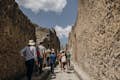 Pompeii met panoramische wijngaardlunch op de Vesuvius: Dagtocht vanuit Rome