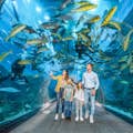 Aquarium et zoo sous-marin de Dubaï - l'expérience ultime