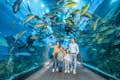 Aquário de Dubai & Zoológico Subaquático - Experiência máxima