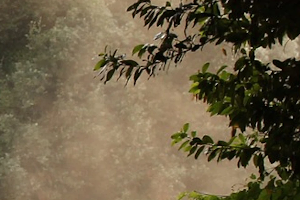 A dirt path curves through a sunlit forest with trees on both sides and a dusty atmosphere.