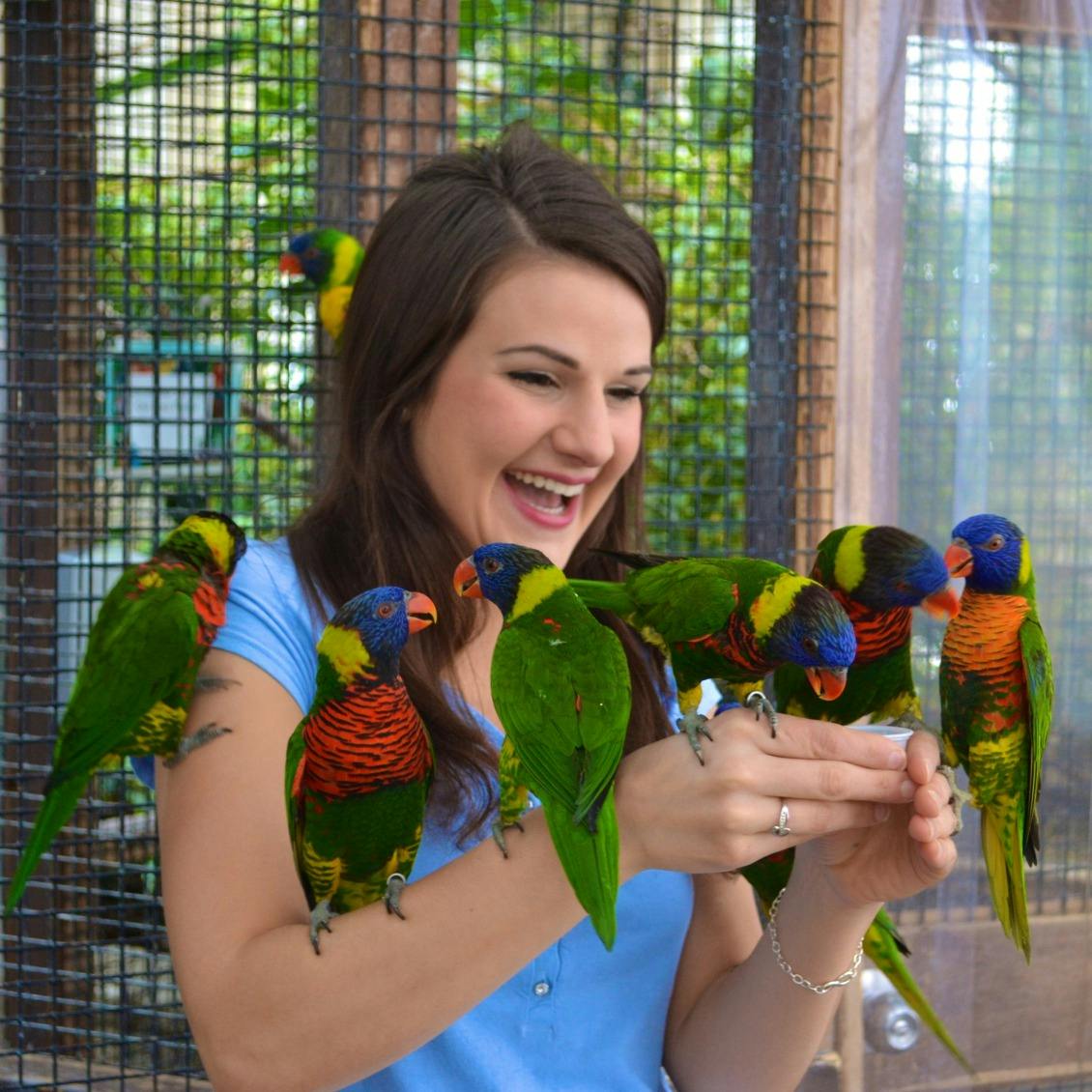 メッシュケージを背景に、腕と手に鮮やかな色の6匹のイルカに囲まれて微笑んでいる女性。